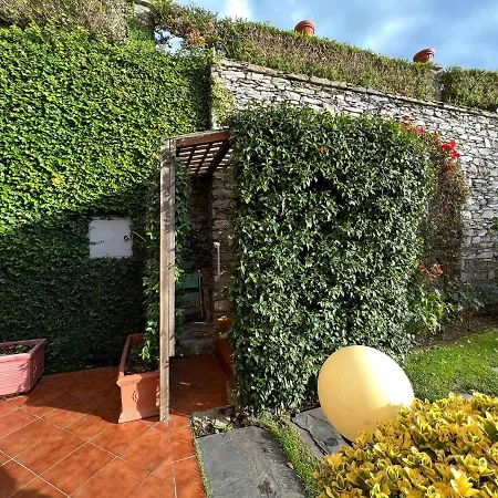 Degli Ulivi Con Piscina